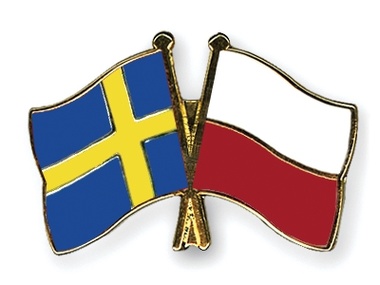 МИД Польши и Швеции выпустили заявление по событиям в Украине
