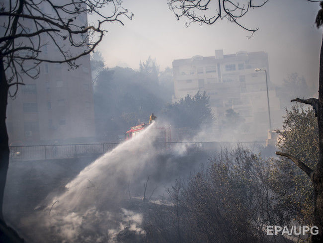 В израильском городе Хайфа из-за пожаров эвакуированы 60 тыс. человек, власти заявили о поджогах