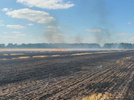 У Криворізькому районі через обстріли росіян згоріло 4,5 га поля з пшеницею