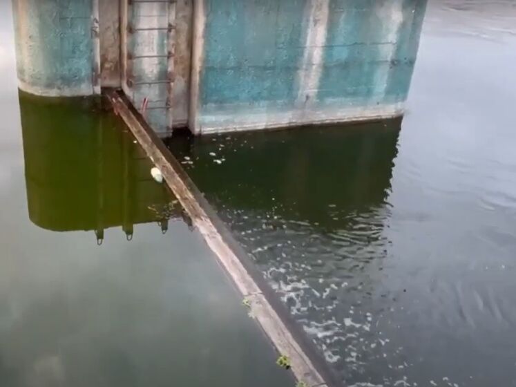  ������ ���� ����������� �������� ������ ����������� ��������� ��������� 