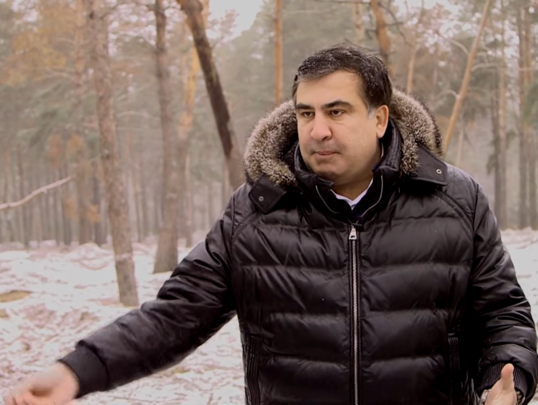 Саакашвили заявил, что на нелегальной добыче янтаря зарабатывают "таможня, Аваков, прокуратура, СБУ". Видео