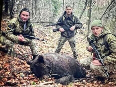 Ужанский природный парк обвинил пограничников в убийстве медведицы. В ГПСУ отреагировали
