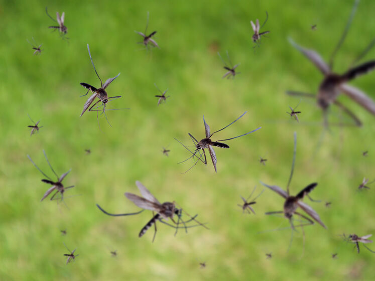  �������� ���� ������ �������� ������ ������� ���������� ����������� 