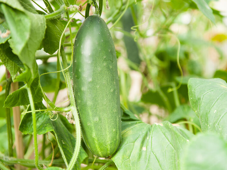  ������ ������ ����� ������ ������ ������ ������ 