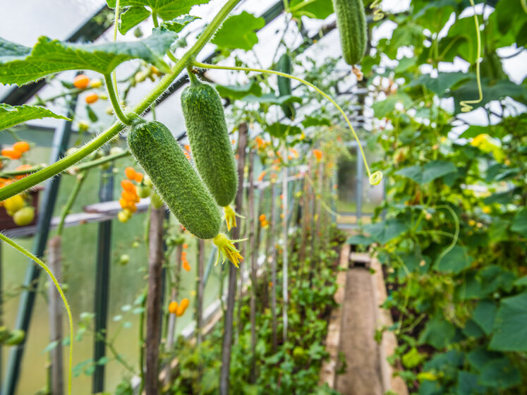 ����: gordonua.com