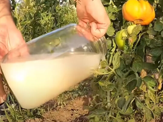 ����: gordonua.com