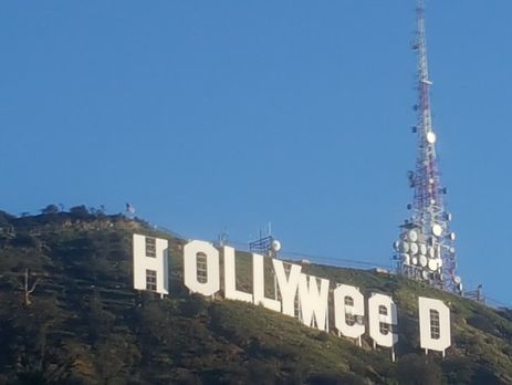 Американец, исправивший надпись Hollywood на Hollyweed, сдался полиции