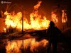 В Николаеве пожарные всю ночь гасили масштабный пожар на деревообрабатывающем комбинате. Для тушения ГСЧС использовала робота