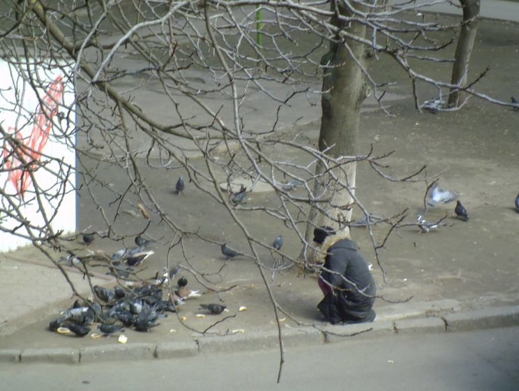 Російський телеканал заявив, що в Україні "голодні люди відбирають хліб у голубів"