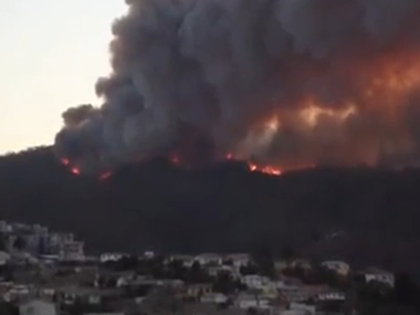 В Чили – масштабный лесной пожар. Объявлено чрезвычайное положение. Видео