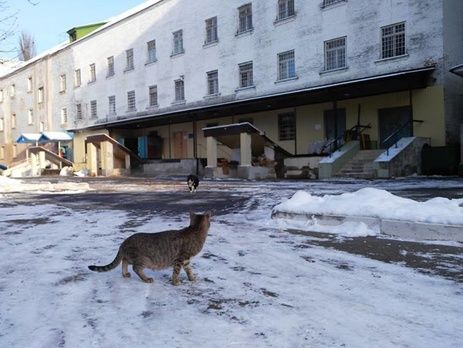 Начальник медицинской службы Лукьяновского СИЗО сообщил, что за неделю в изоляторе умерли четверо задержанных