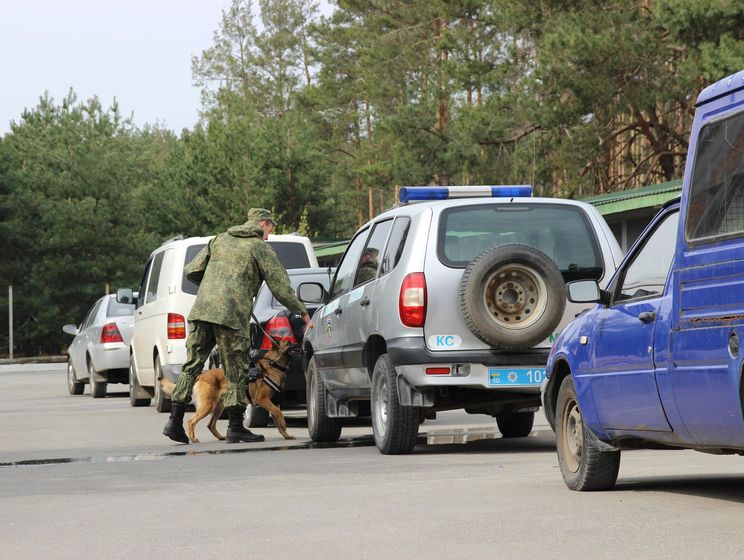  Напередодні "Євробачення" поліцейських собак протестували на пошук вибухівки