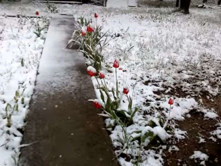 В Крыму второй раз за пять дней выпал снег. Видео
