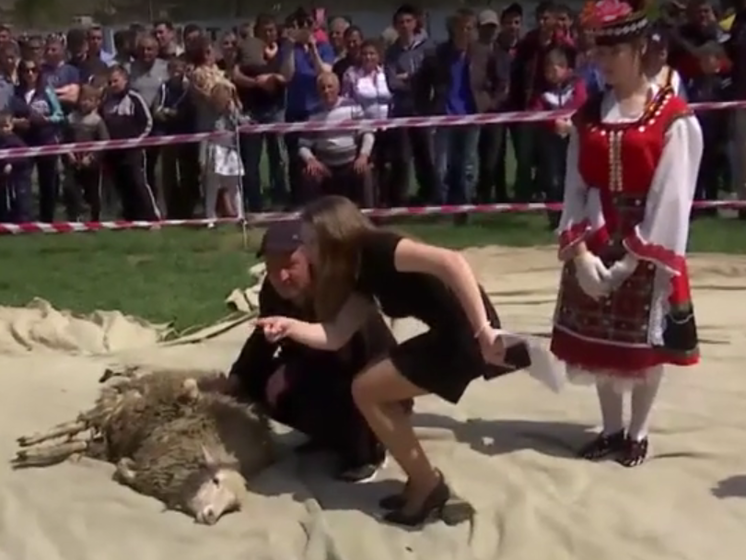 В Украине состоялся первый чемпионат по скоростной стрижке овец. Видео