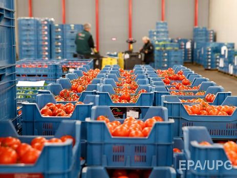 Комитет Европарламента предложил увеличить квоты поставок украинской продукции в Евросоюз