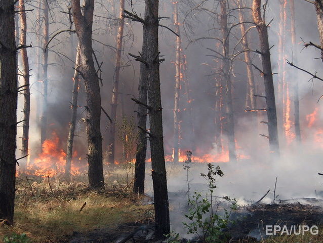 Власти предупредили киевлян о высокой пожароопасности