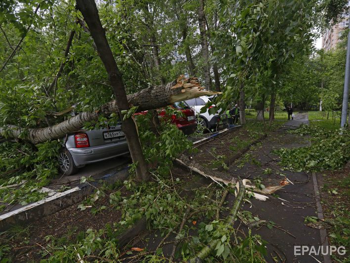 Ураган в Москве: количество жертв растет, транспорт ходит с перебоями