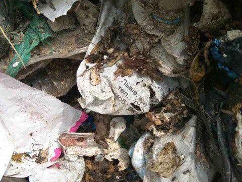 В полиции заявили, что под Киевом выбросили 60 тонн мусора из Львова