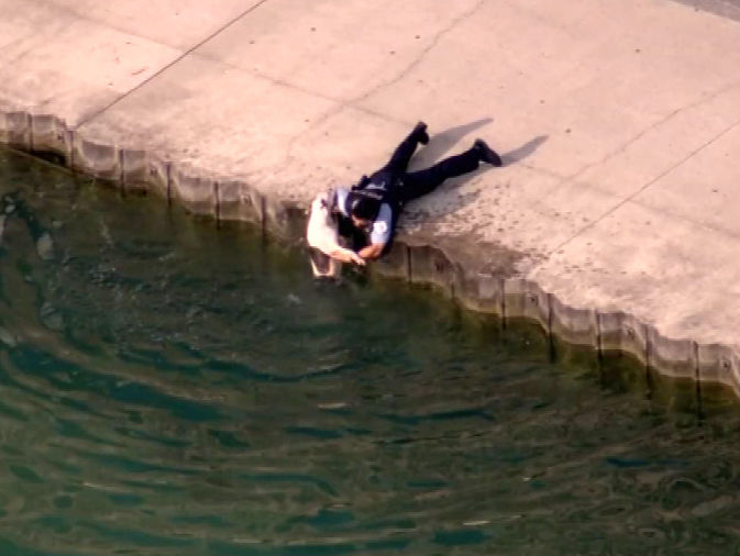 Полицейский спас из озера собаку, из-за которой произошло массовое ДТП в Чикаго. Видео