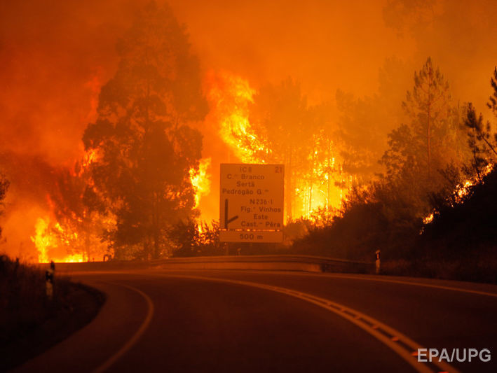 В результате лесного пожара в Португалии погибли минимум 43 человека