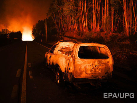 ﻿Число жертв лісової пожежі в Португалії перевищило 60