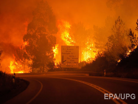 Украинцев среди жертв лесных пожаров в Португалии нет – МИД