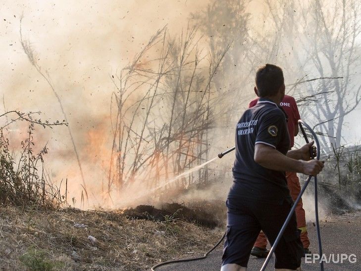 В Италии жертвами лесных пожаров стали два фермера