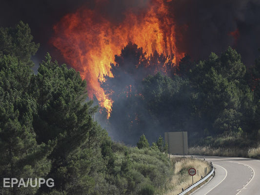 На курортах Хорватии и Черногории бушуют лесные пожары