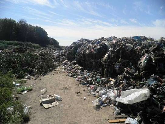 В Киевской области обнаружили 40 тонн львовского мусора – полиция