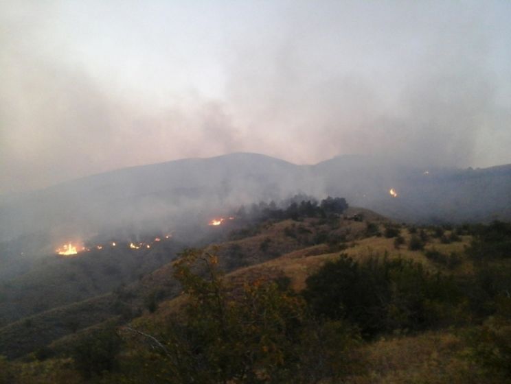 Под Судаком в аннексированном Крыму второй день тушат лесной пожар