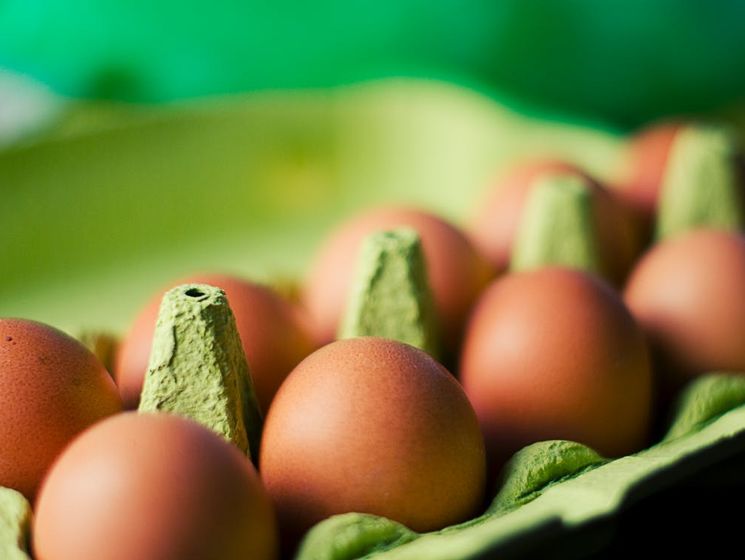 ﻿У Румунії виявили тонну заражених яєць