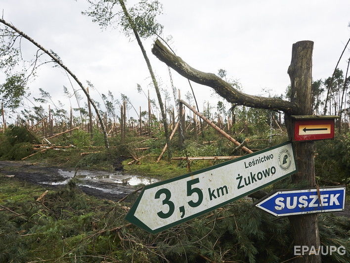 На севере Польши буря повалила деревья и стала причиной смерти пяти человек. Видео