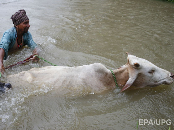 В Непале больше 50 людей погибло в результате наводнений и оползней