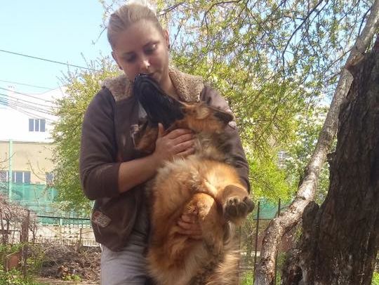 ﻿Поліція в Одесі затримала жінку, яка опублікувала відео з підвішуванням собаки на дереві