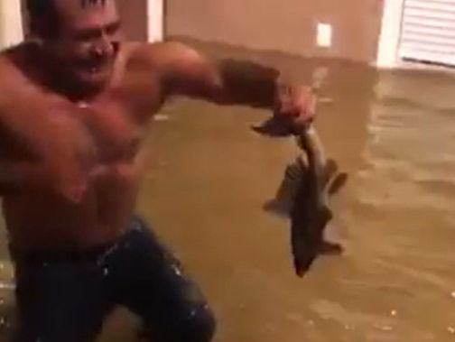 ﻿Житель Техасу голими руками впіймав рибу в затопленому після урагану будинку. Відео