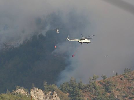 Порошенко поручил предоставить Грузии гуманитарную помощь для ликвидации последствий лесного пожара