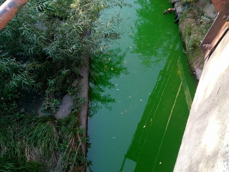 ﻿У Києві вандали пофарбували в зелений колір воду у фонтанах і річці Либідь
