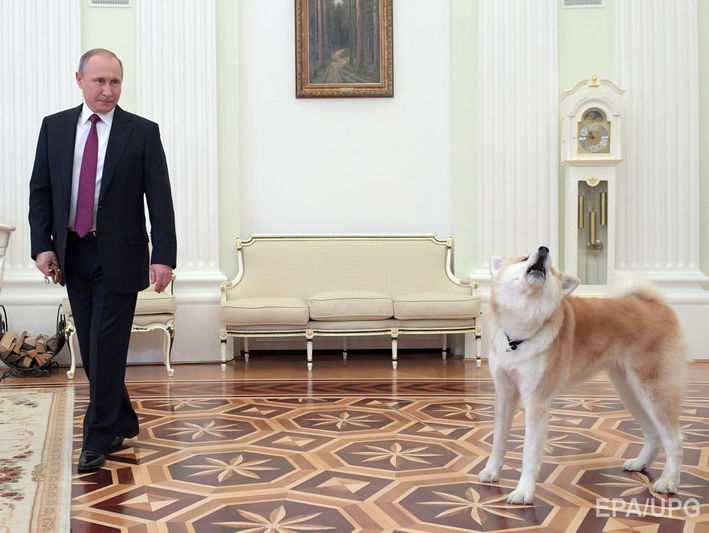 ﻿У РФ продовжують вимагати вибачень за "собаку Путіна": За використання цього слова в Росії треба відповідати по-чоловічому