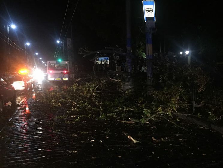 ﻿Раптова буря в Чернівцях: десятки повалених дерев, пошкоджені автомобілі та білборди