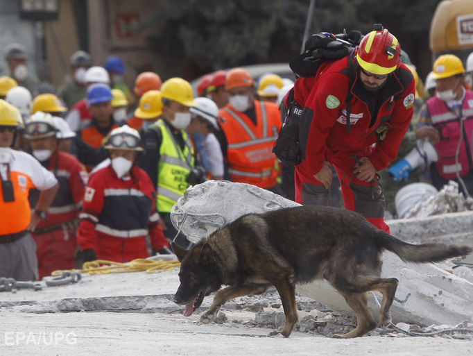 Число погибших в результате землетрясения в Мексике достигло 293 человек