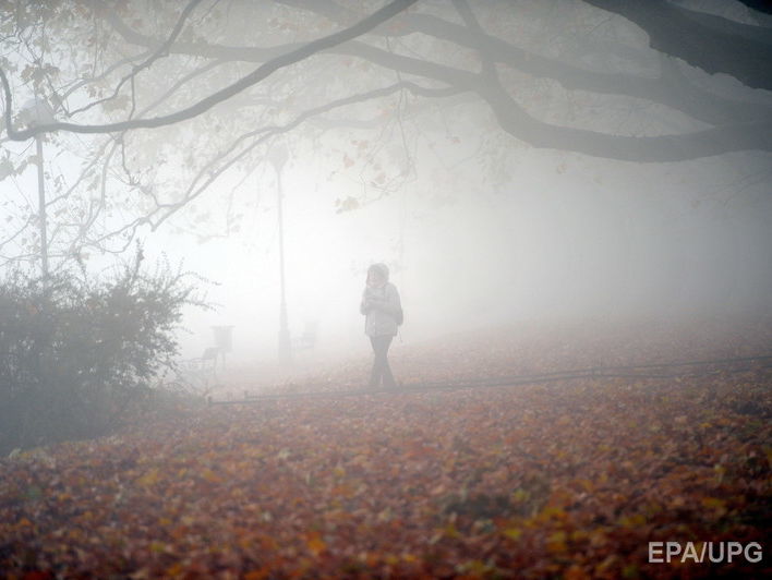 ГСЧС предупредила о тумане в Киеве 25–26 ноября