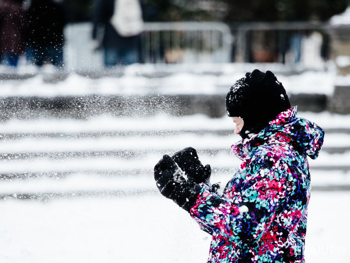 В столице Канады отменили новогодние празднования из-за сильных морозов