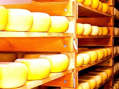 Экспорт украинского сыра в Россию сократился более чем в пять раз