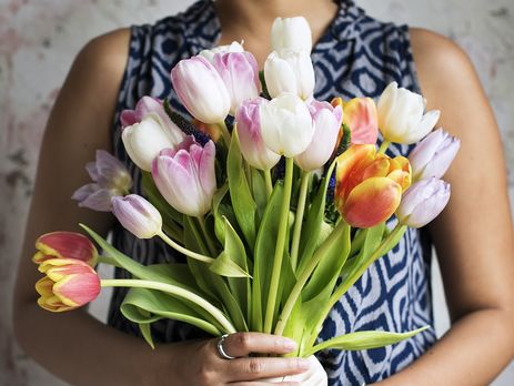 Тюльпан: происхождение и история легендарного цветка