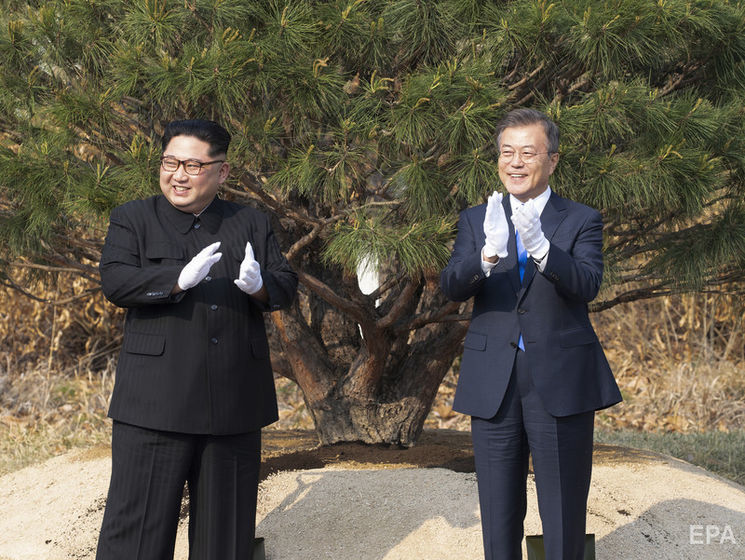 "Новая весна". Лидеры Северной и Южной Кореи посадили символическое дерево примирения