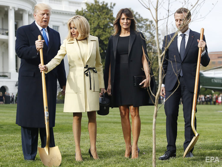 Посаженное Трампом и Макроном дерево убрали с лужайки перед Белым домом