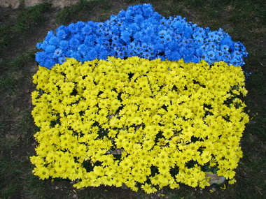 В Киеве высадят самый большой флаг Украины из живых цветов