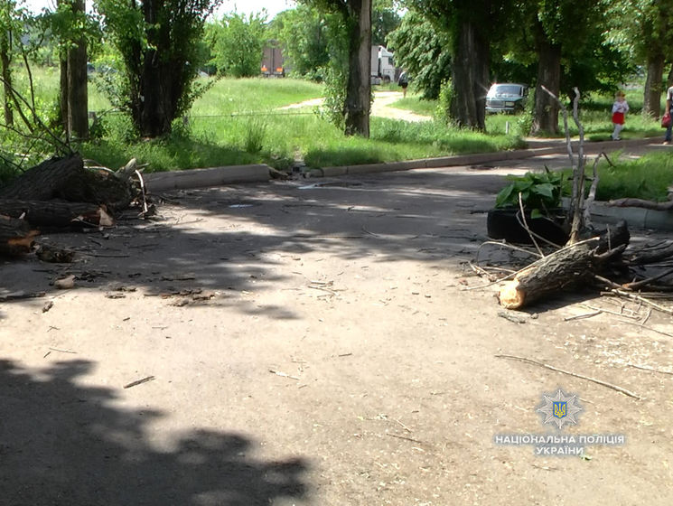 В Черкассах на школьников упало дерево, четверо детей попали в больницу