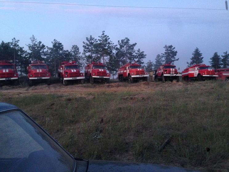 Лесной пожар в Херсонской области удалось локализовать &ndash; ГСЧС