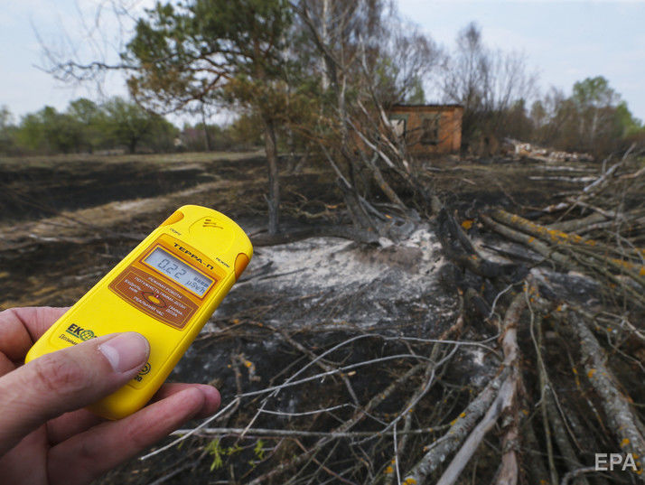Поширення пожежі в Чорнобильській зоні вдалося зупинити – ДСНС